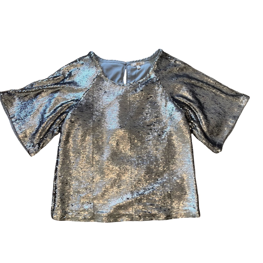 Skies Are Blue Sequin Top
